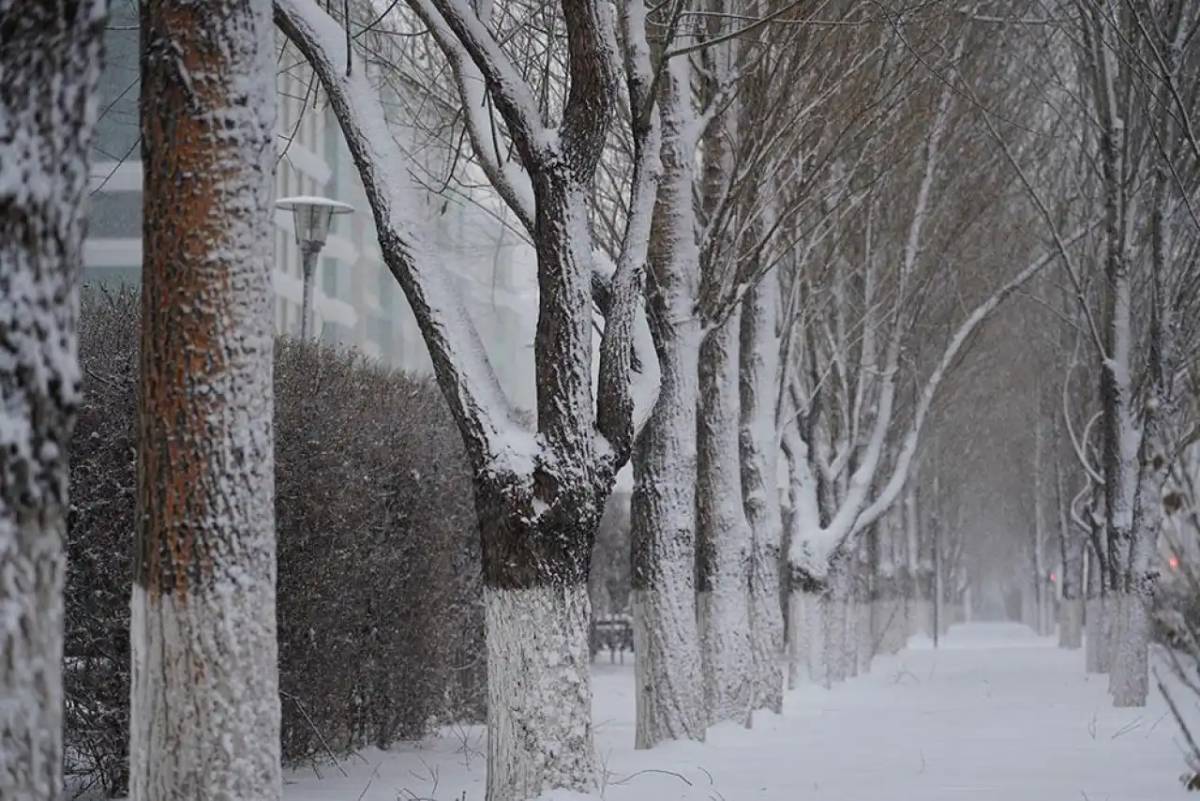 Бірқатар өңірде дауылды ескерту жарияланды