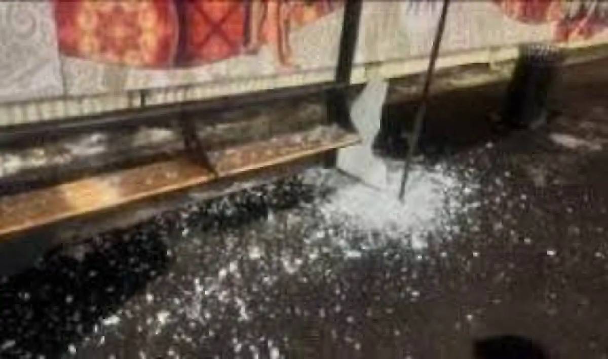 Аялдаманың есік-терезесін теуіп, сындырып кеткендер ұсталды