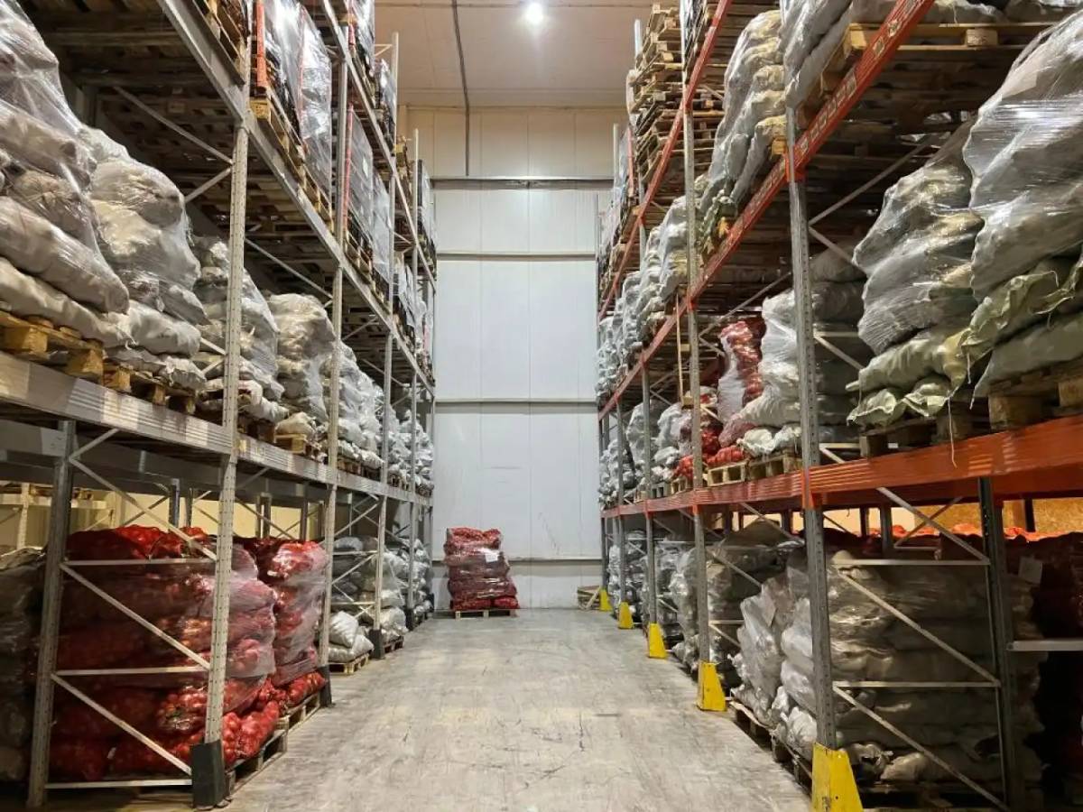 Астанада картоп бағасы тұрақталды