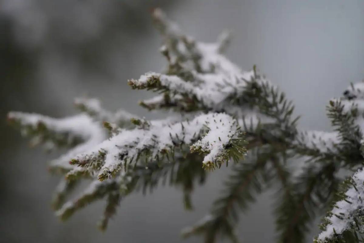 Демалыс күндері күн райы қандай болады
