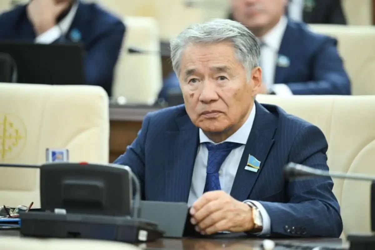 Фильмдер арқылы дөрекілік пен көргенсіздікті насихаттап жүрміз – депутат