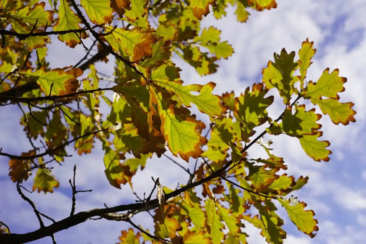 Бүгінгі Астананың ауа райы болжамы