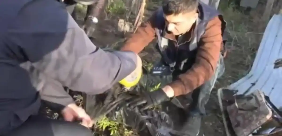 Жасырын зертханада БҚО тұрғыны құрамында есірткі бар өсімдік өсіргені анықталды