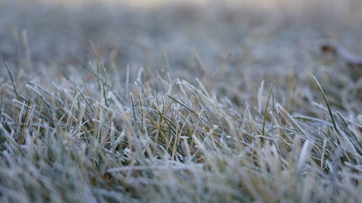 «Дөңгелектеріңізді ауыстырыңыздар»: Ақмола полициясы жүргізушілерге ескерту жасады