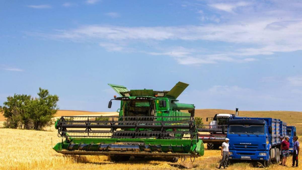 Елімізде шаруалар үшін кредиттік желілер тетігін енгізу жоспарланып жатыр