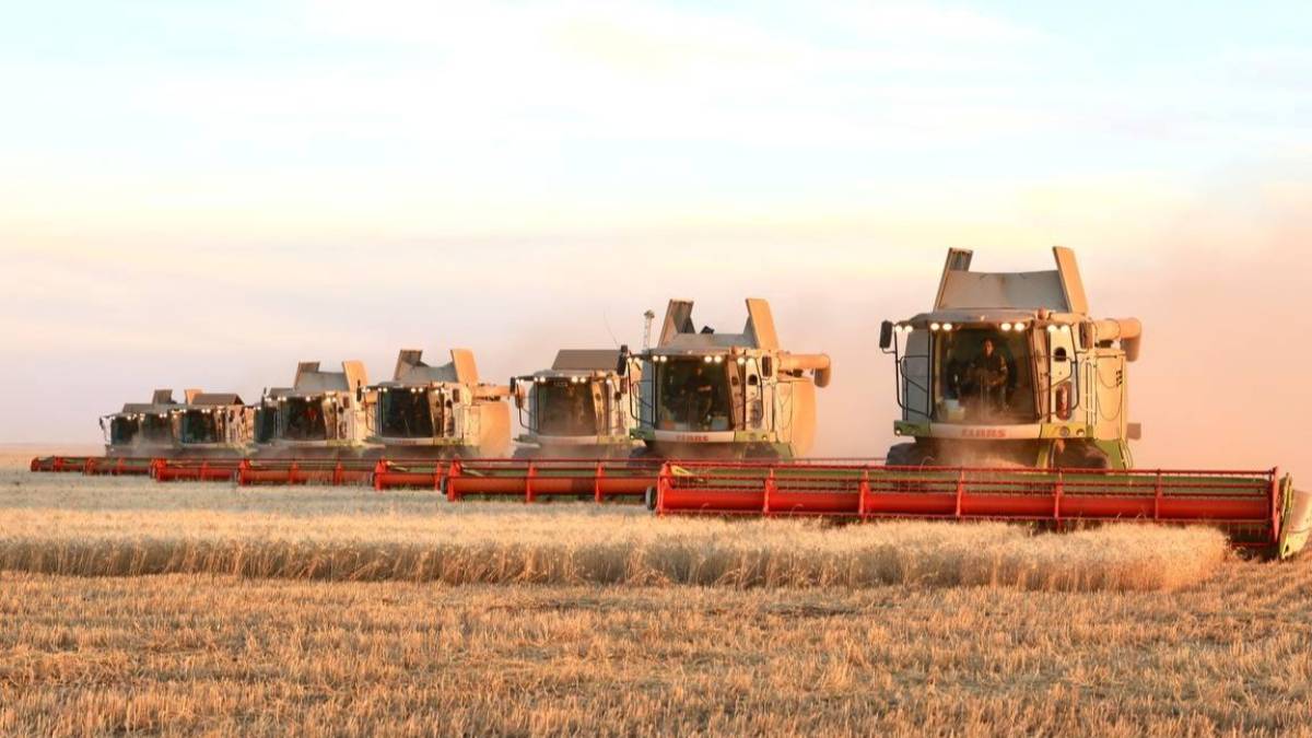 Барлық астық қабылдау кәсіпорындары тұрақты режимде жұмыс істеуі тиіс — Премьер-министр