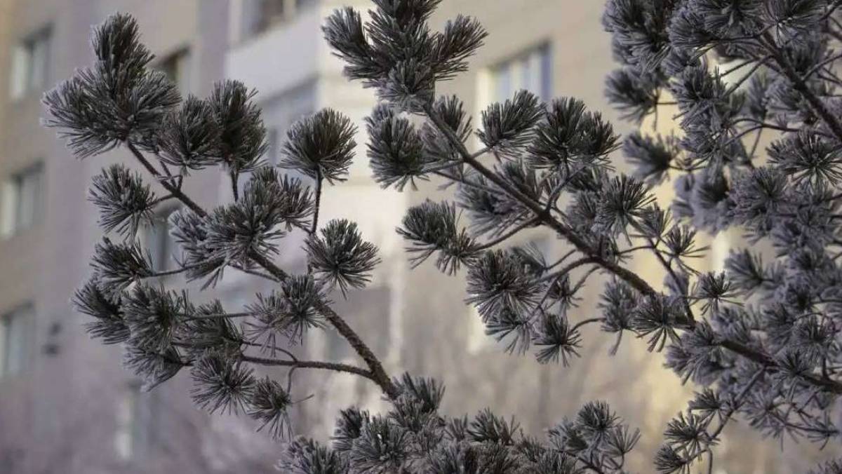 Бүгінгі Астананың ауа райы болжамы