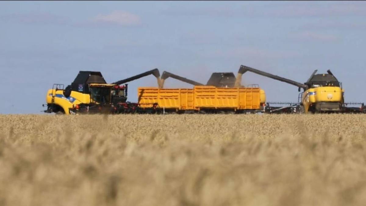 «Рекордтық жыл»: Қазақстанда 27 млн тонна астық жиналды