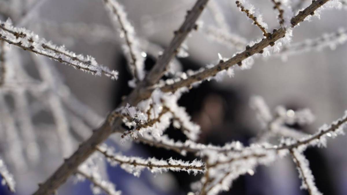 Республикалық маңызы бар автожолдардың барлығы ашық – Қазавтожол