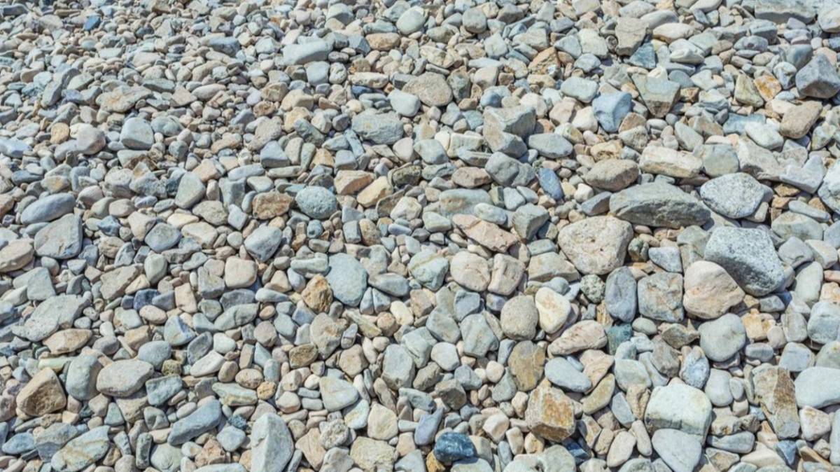 «Заң мен тәртіп»: Түркістанда құм-қиыршықтас қоспасын заңсыз өндіргендер анықталды