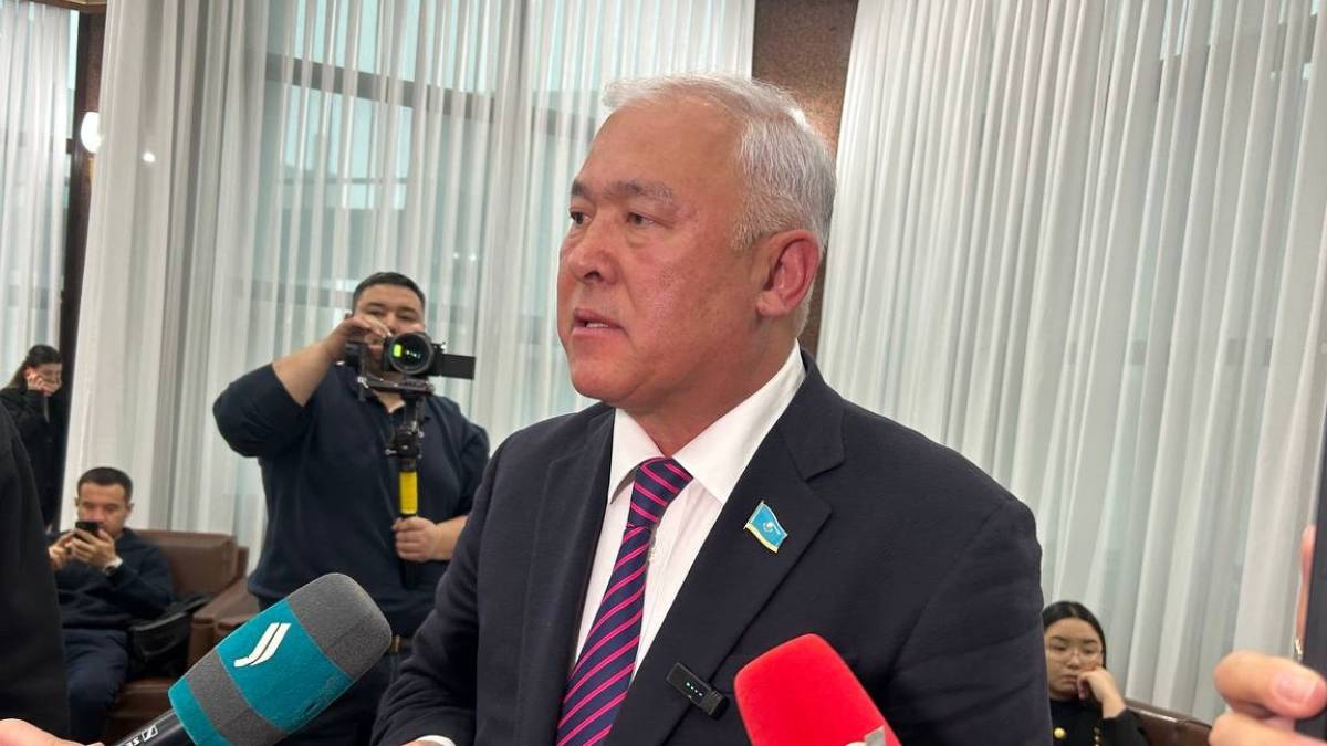 "Мемлекеттік қауіпсіздік мәселесі": Әбенов құжаттарды цифрландыру туралы айтты