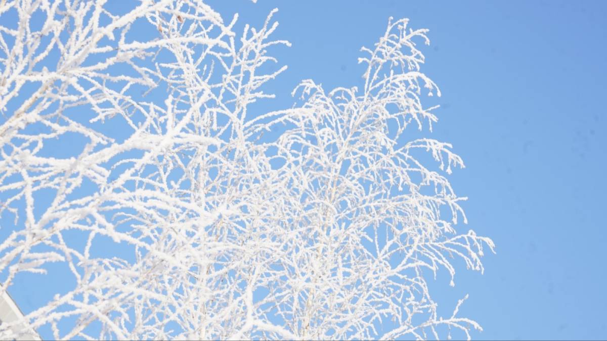 Қазақстанда қыс мезгілінде қайда демалуға болады