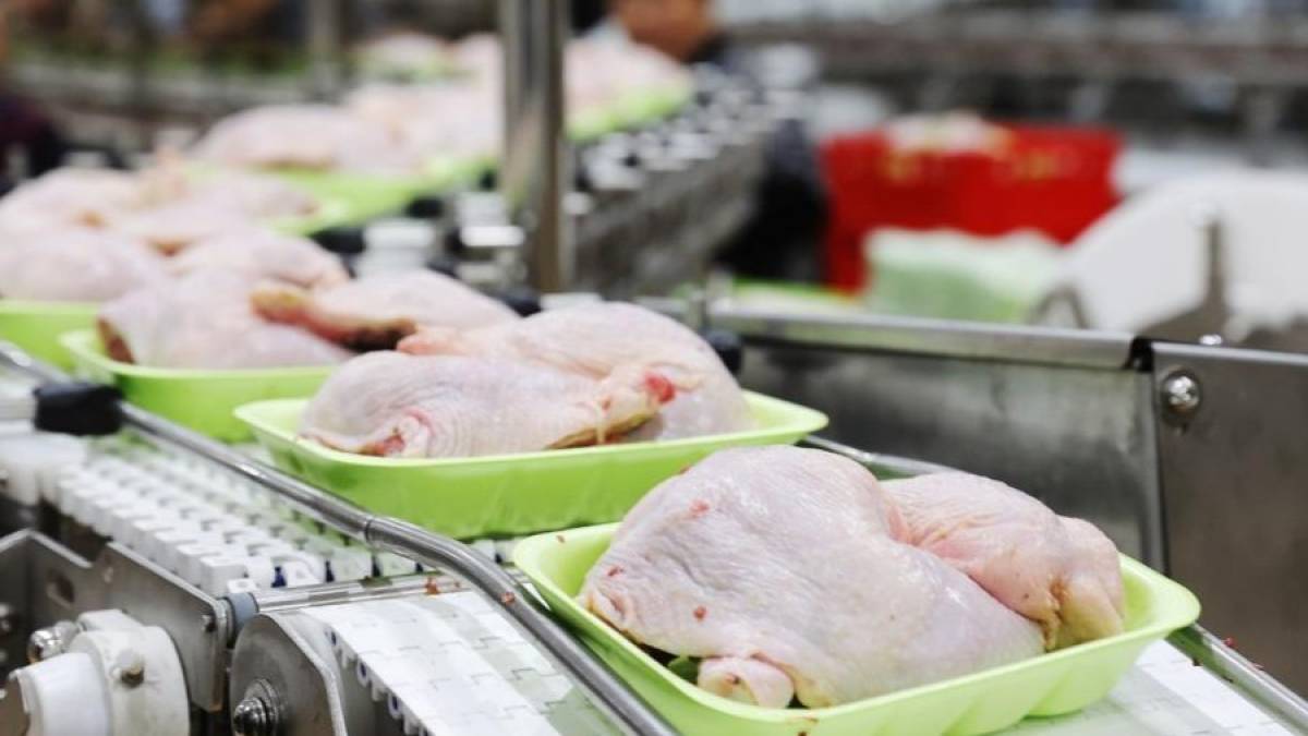 Жамбыл облысында жылына 70 мың тонна құс етін өңдейтін зауыт іске қосылды