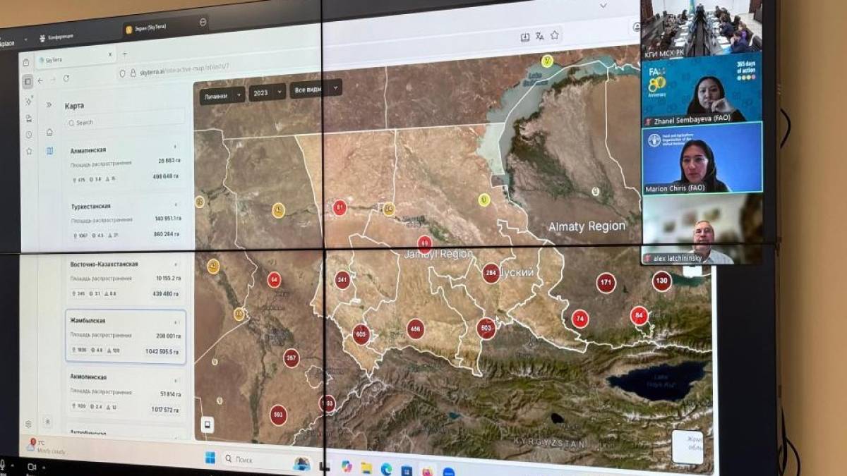 «Қазақстан – ФАО»: шегірткеге қарсы зиянкестерге қатысты мониторинг жүргізу жүйесі іске қосылды