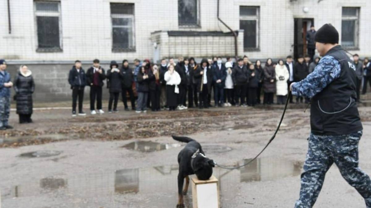 Астаналық студенттер кинологиялық қызметтің қыр-сырымен танысты