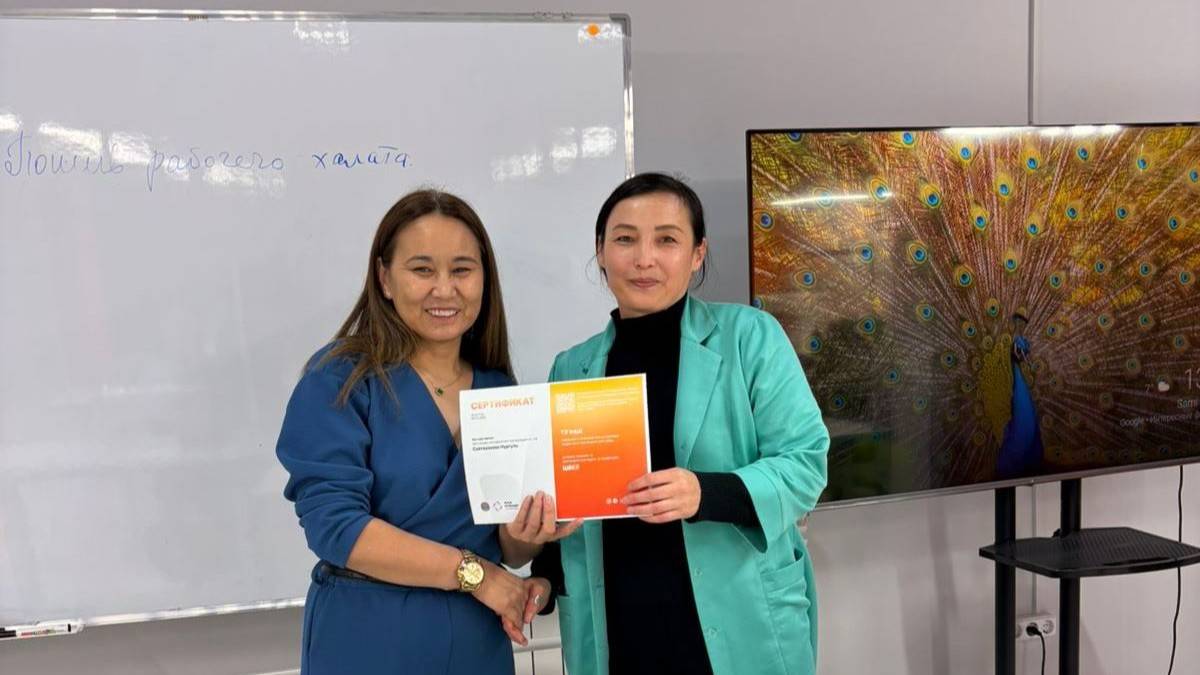 JOLTAP жолымды ашты: Астана тұрғыны жоба туралы пікірін білдірді