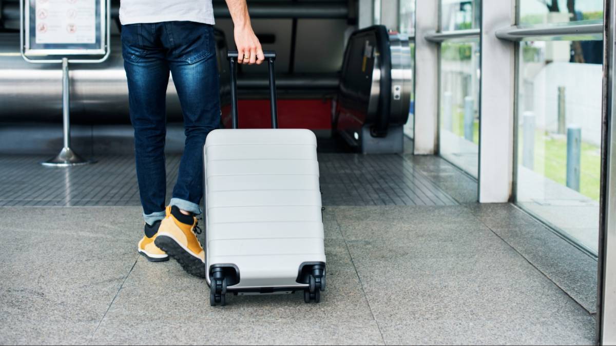 Алматы әуежайында ірі көлемде есірткі контрабандасының жолы кесілді