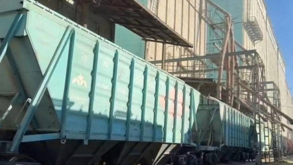 Елден 3,1 млн тонна астық экспортталды – АШМ