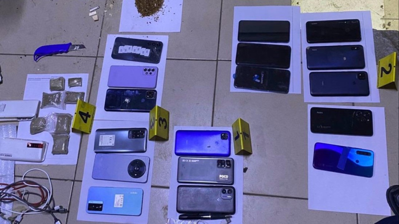 «Детектив» иті тыйым салынған заттар қоймасын анықтауға көмектесті