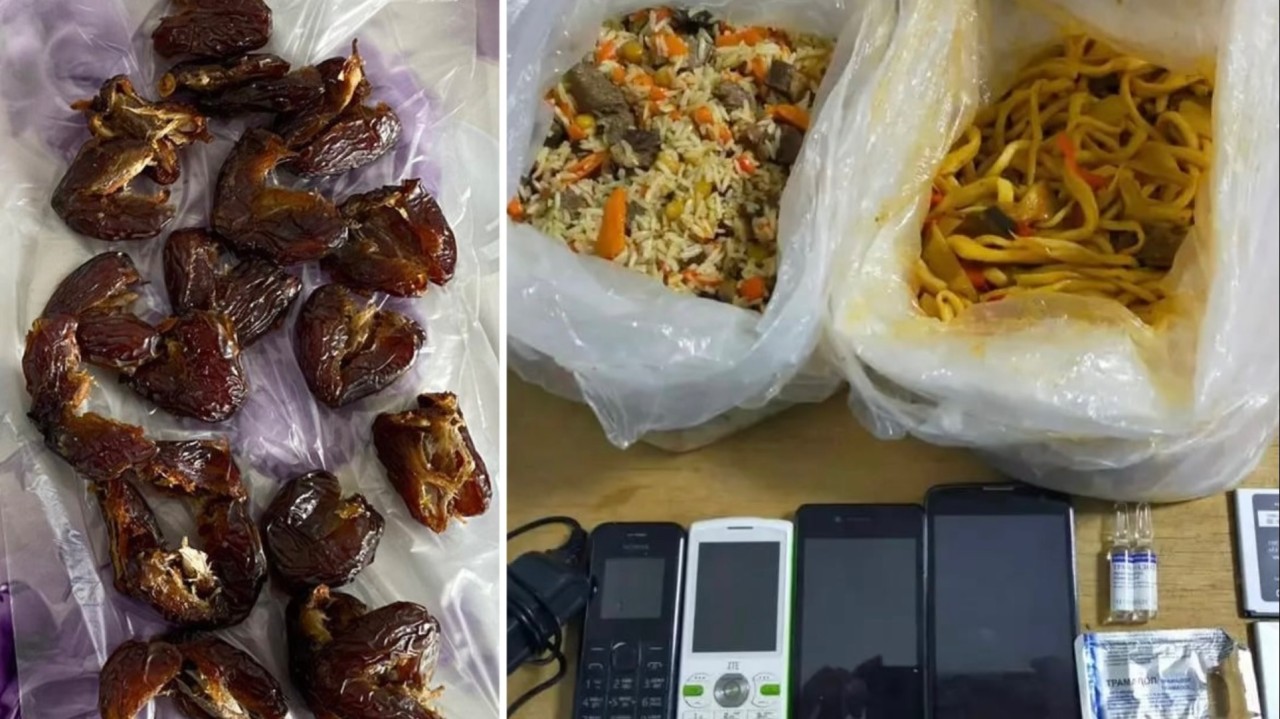 Түзеу мекемесіне телефонды палау ішіне тығып өткізбек болғандардың ойы іске аспай қалды