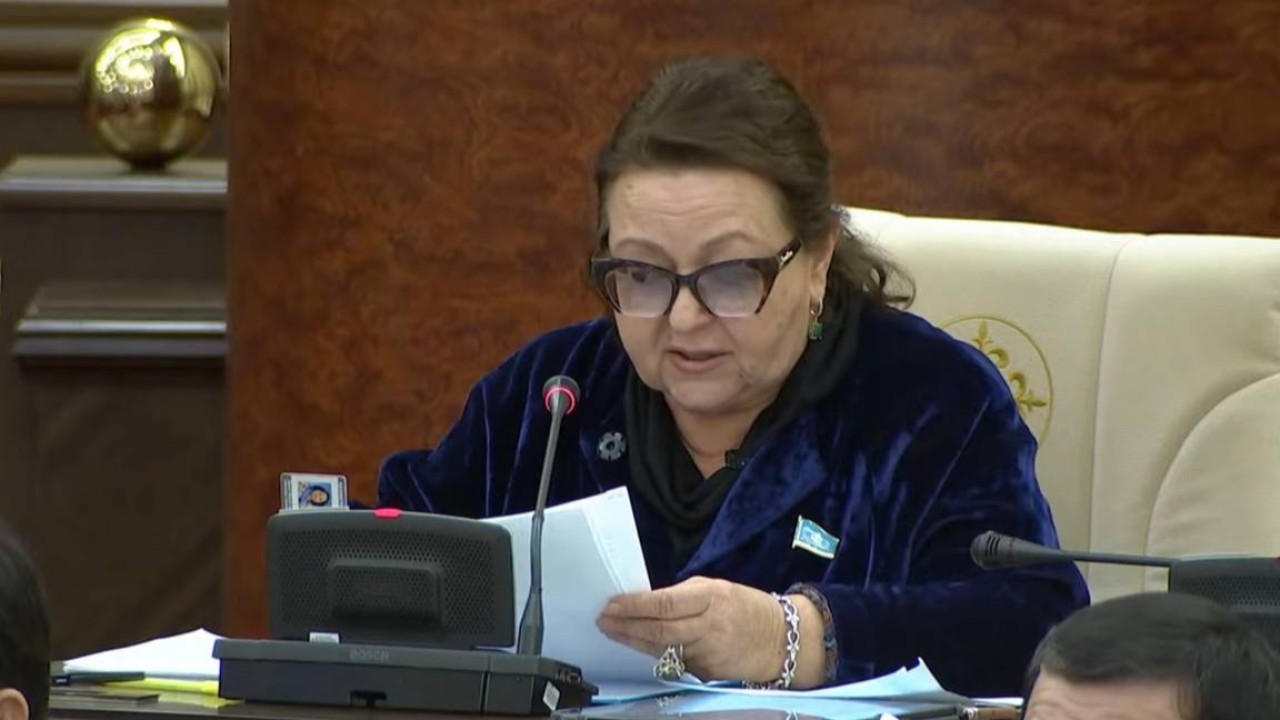 Тәуелсіз еліміз әлеуметтік мемлекетке айналды — Мәжіліс депутаты