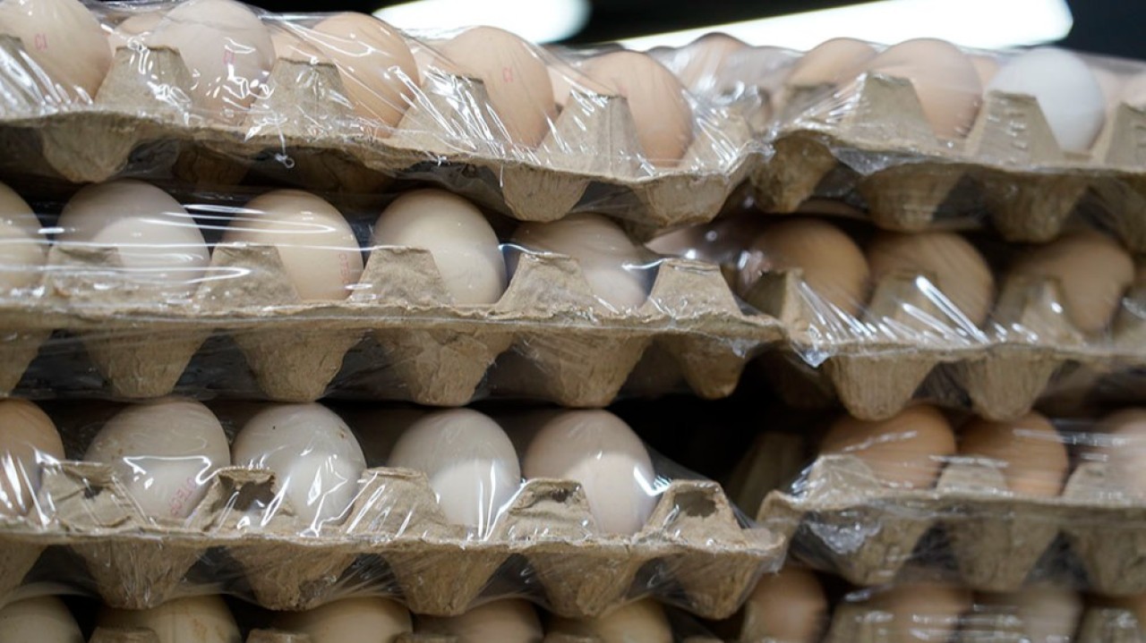 Қазақстанға тауық жұмыртқасын әкелуге тыйым салынды