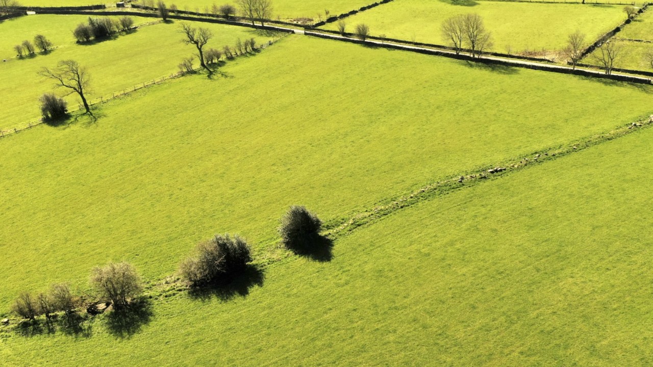 Шаруа қожалығының құны 100 млн теңгеден асатын жер учаскелері мемлекет меншігіне қайтарылды