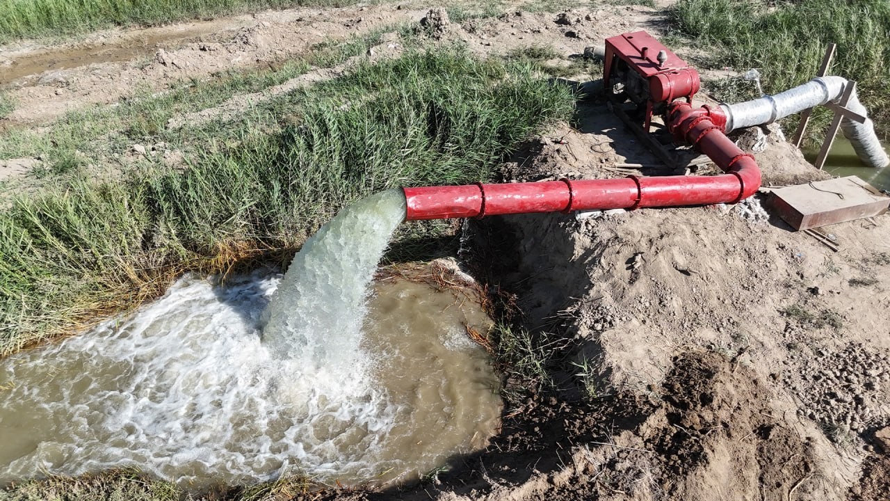 Елімізде судың «қара нарығын» жою үшін іс-шаралар жоспары қабылданады