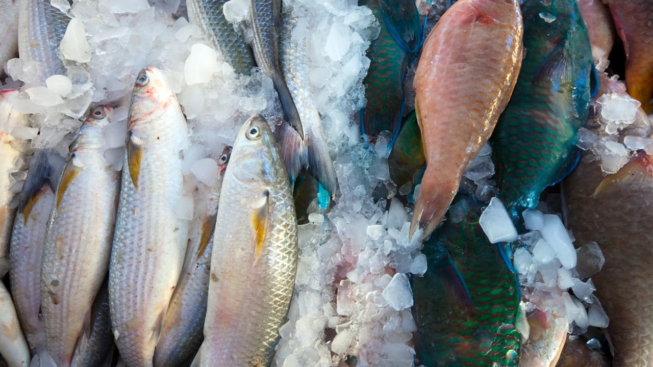 ШҚО-да балықтың шығу тегі туралы құжатты заңсыз талап ету кәсіпорын жұмысын тоқтатты