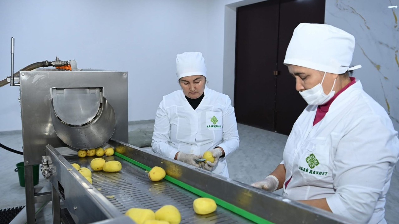 Қызылорда облысында биыл 28 мыңға жуық адам тұрақты жұмыспен қамтылды