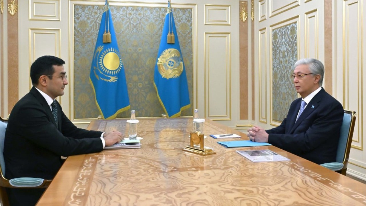 Мемлекет басшысы «Бәйтерек» ұлттық инвестициялық холдингінің басқарма төрағасы Рустам Қарағойшинді қабылдады