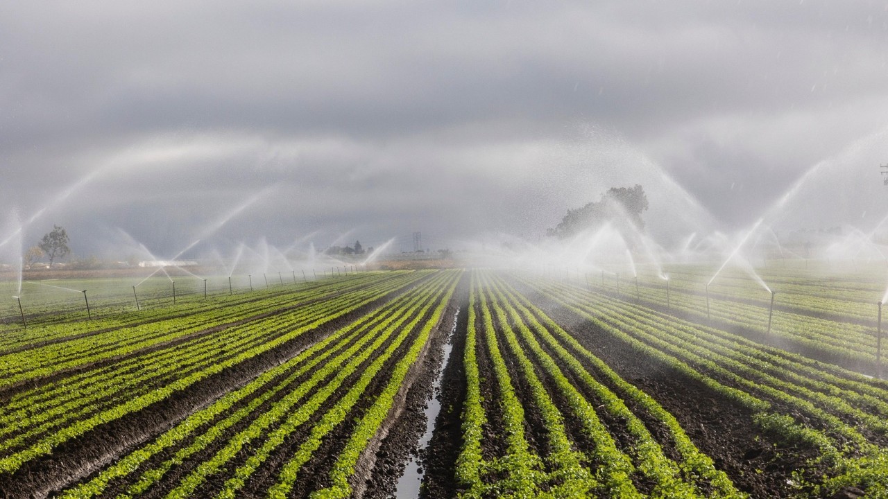 Сырдария өзені бассейнінде ауыл шаруашылығы дақылдарын суару режимдерін түзету мақсатында ауқымды зерттеу жүргізіліп жатыр
