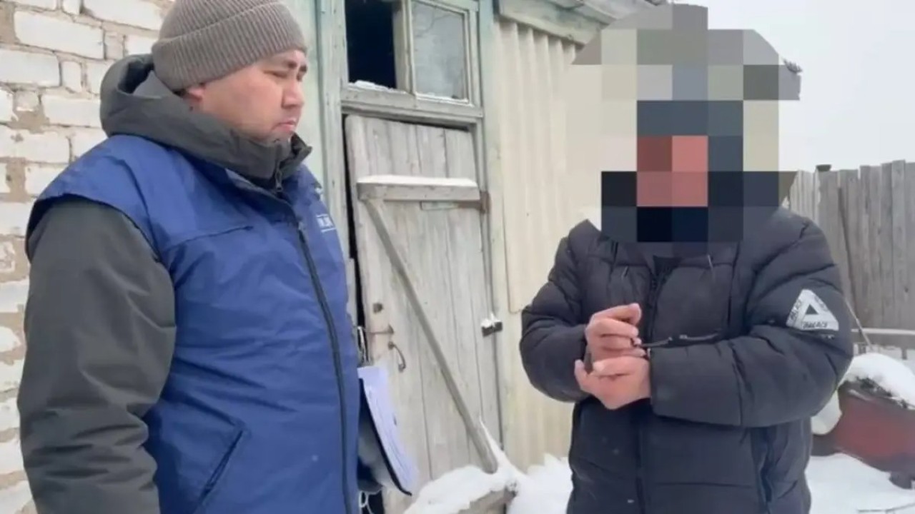 Ақмола облысында 24 бас құлынды айдап әкеткен күдікті ұсталды