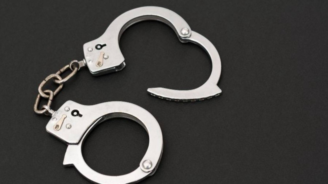 Адам ағзаларын саудалаумен айналысқан күдікті Польшадан экстрадицияланды