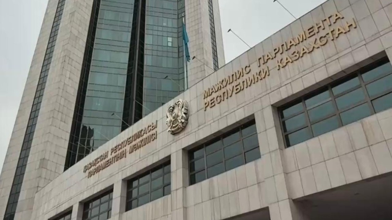 Мәжіліс Үкіметке мемлекеттің бизнесті қолдау шараларын үйлестіретін бірыңғай уәкілетті органды бекітуді ұсынды