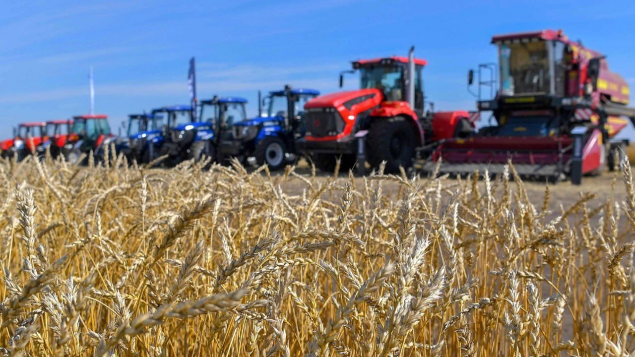 Ауыл шаруашылығы өнімдерінің жалпы көлемі 6,1%-ға артты – министр