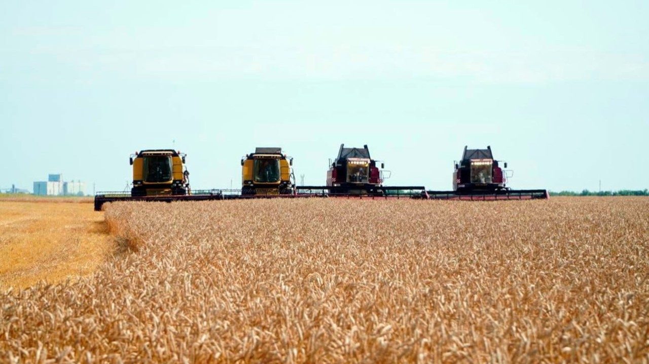 Қазақстанда астық элеваторларын салу және жаңғырту бойынша несие беру бағдарламасы іске қосылады