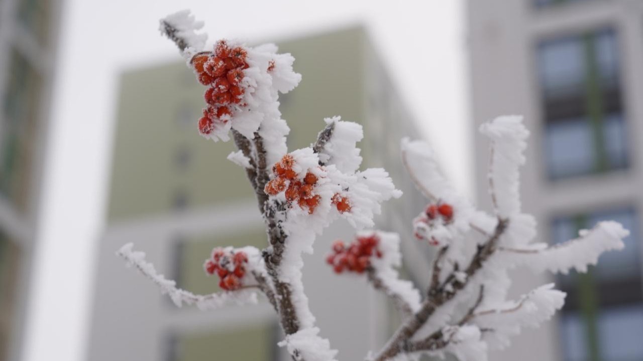 Бүгінгі Астананың ауа райы болжамы