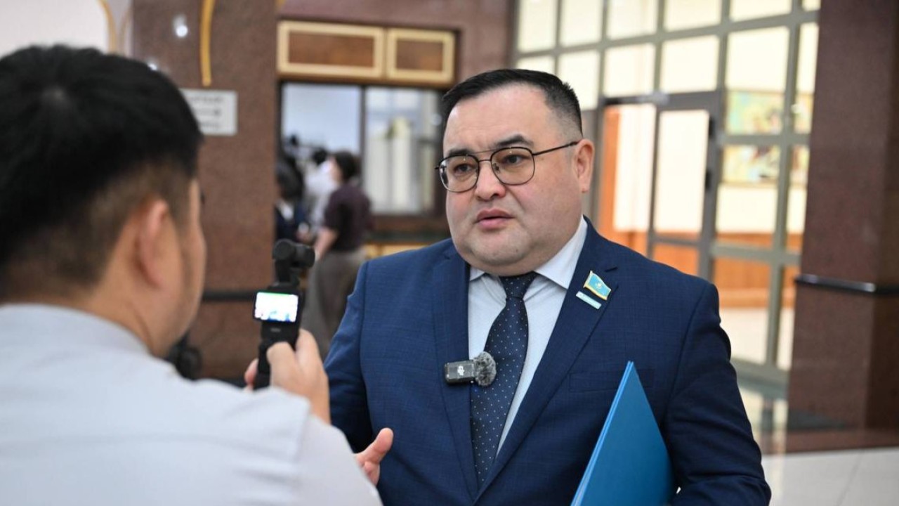 "Әр адам өзін мазалаған сұраққа жауап тапты деп ойлаймын”: депутат Президент сұхбаты туралы