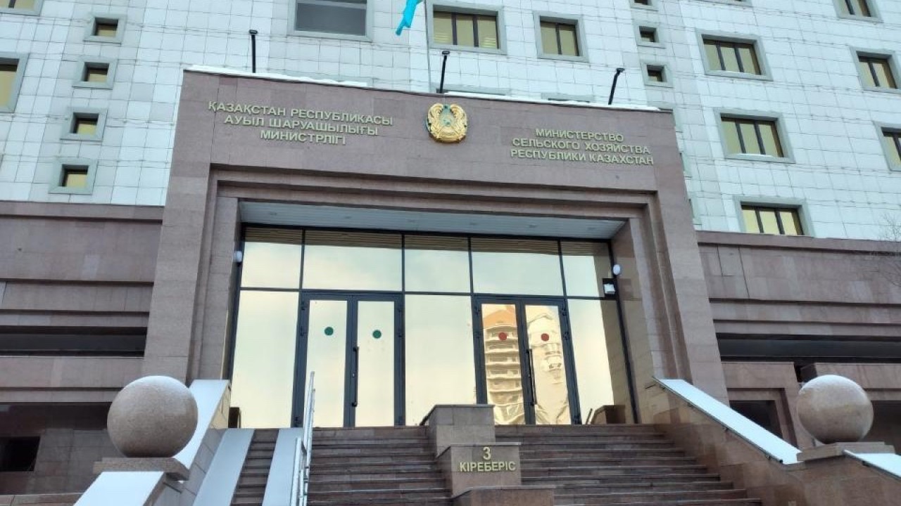 АШМ-де сиыр еті экспортына енгізілген шектеулер түсіндірілді