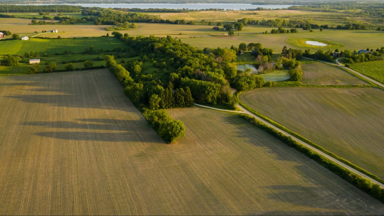 Талдықорғанда прокурорлар заңсыз берілген 4,1 гектар жер учаскесін  мемлекетке қайтарды
