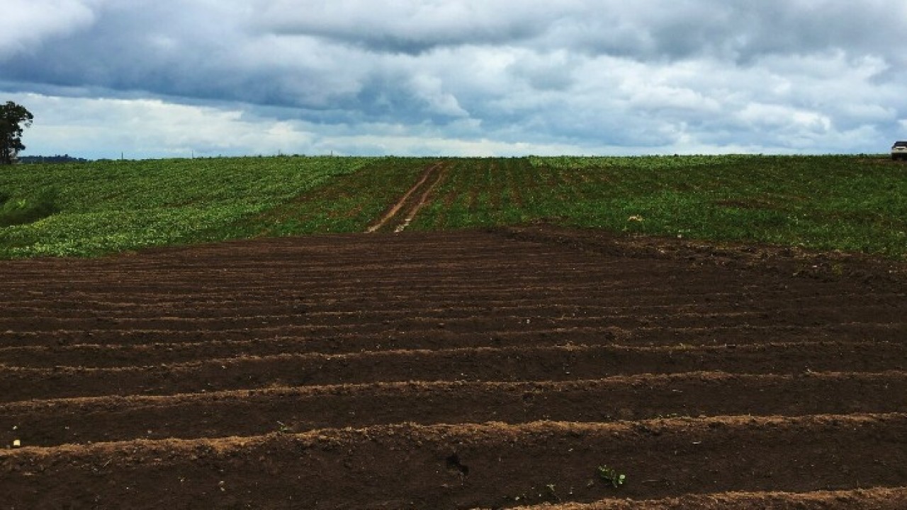 Ауыл шаруашылығы мақсатындағы 800 мың гектар жер мемлекет меншігіне қайтарылды