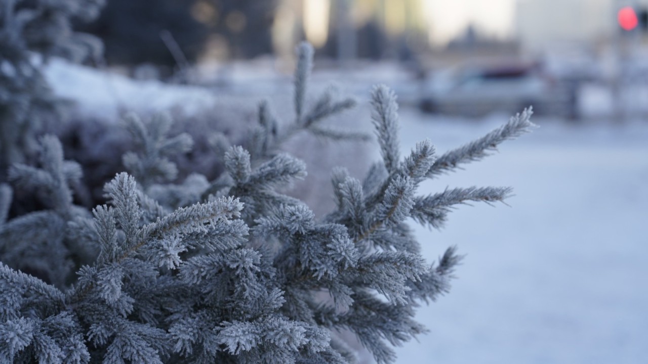 Қазақстанда алдағы күндері -38 градус аяз болады