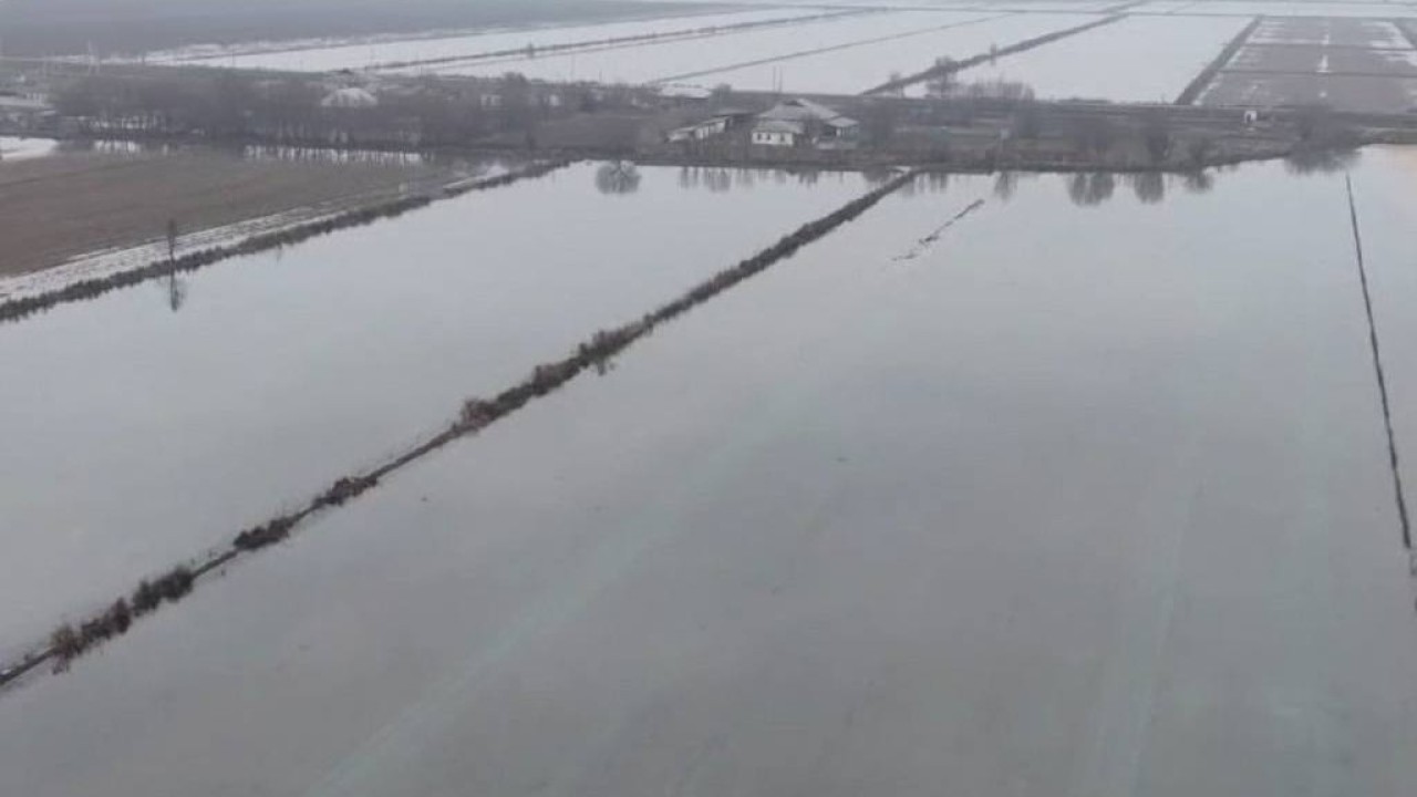 Түркістан облысында 100 мың гектардан астам сортаң жер суармалы егістікке дайындалады