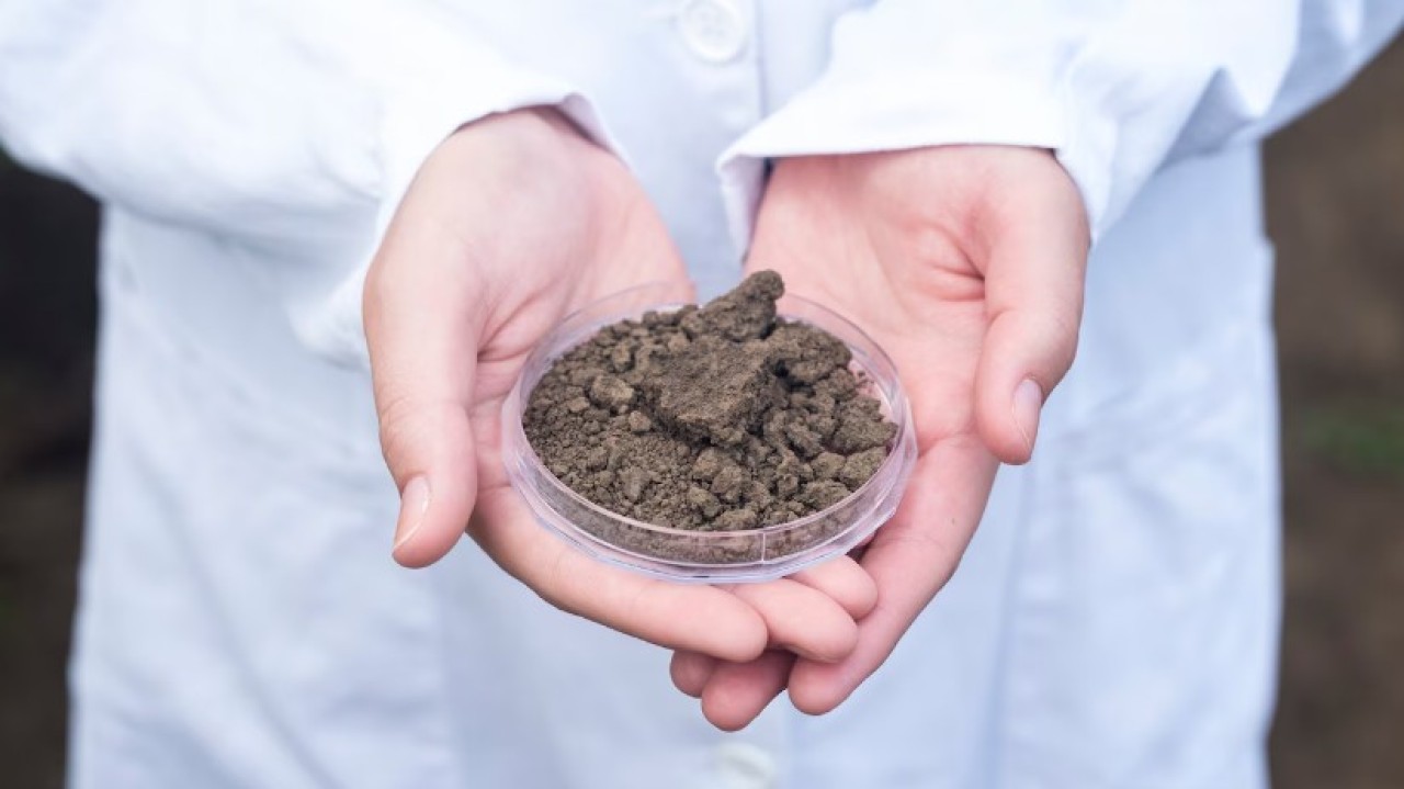 Биыл минералды тыңайтқыштар себу жоспары 2,3 млн тоннаны құрайды