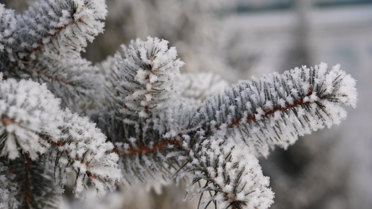 Ескерту: Алдағы үш күнде бірқатар өңірде аяз 40 градусқа жетеді