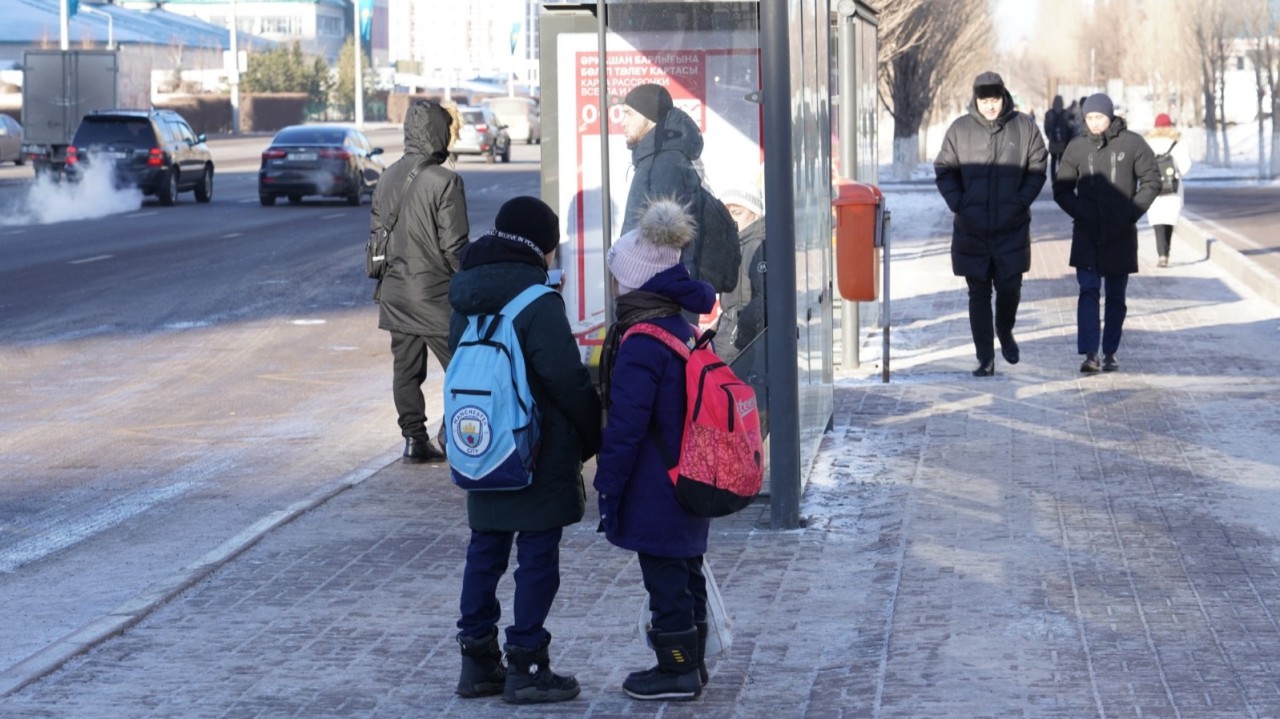 Елордада екінші ауысымдағы 9-сыныпқа дейінгі оқушылар қашықтан оқиды
