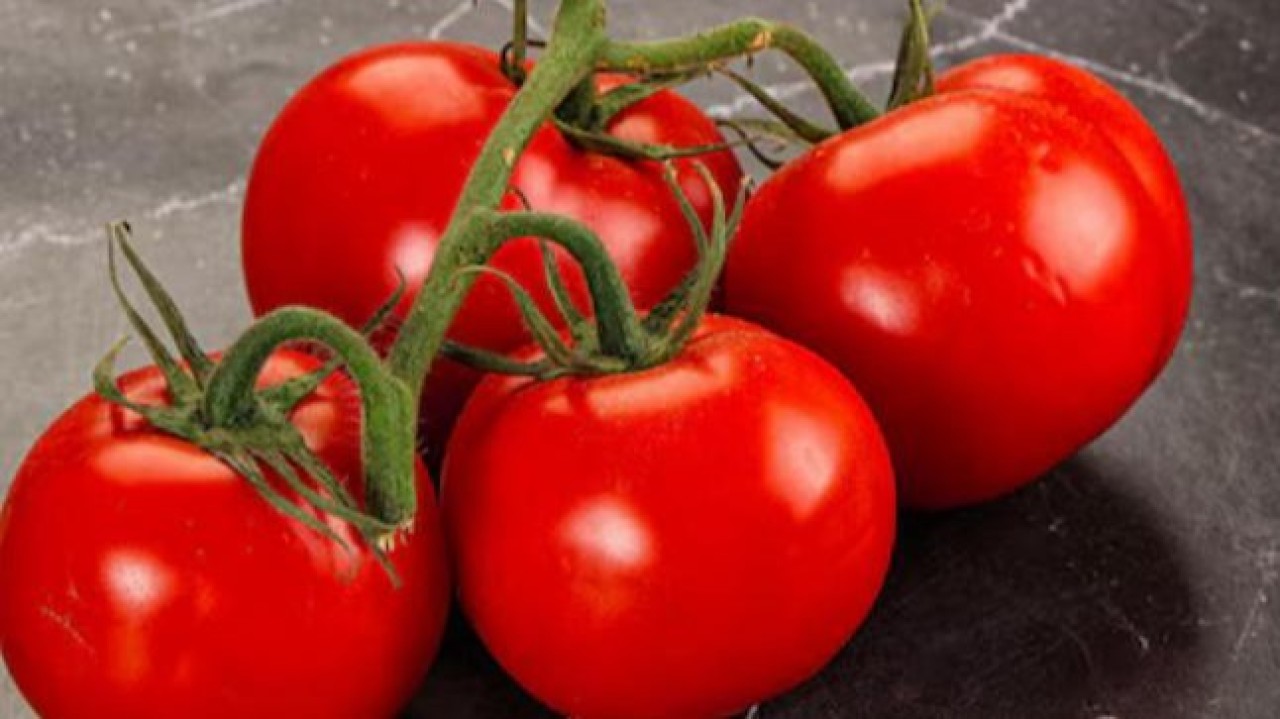 Вирусты қызанақ тұқымы: Астана әуежайында карантинге жатқызылған өнімді әкелу фактісі анықталды