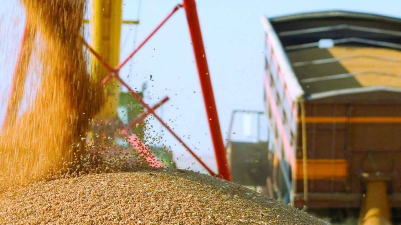 АШМ: Өзбекстан, Қырғызстан және Ауғанстанға астық экспорты күрт өсті