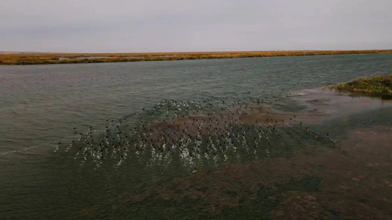 Солтүстік Аралдың көлемін 34 км³ дейін ұлғайту жоспарланып отыр – министр